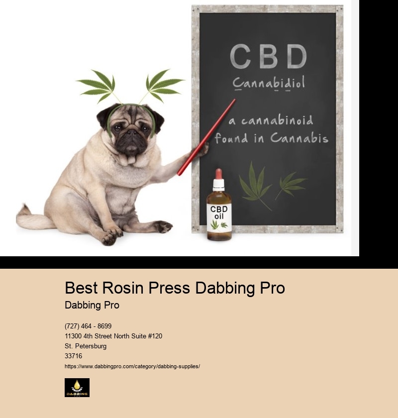 Best Rosin Press Dabbing Pro